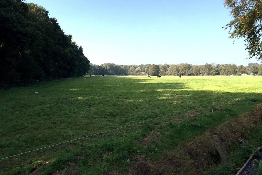 Willa Natuurhuisje Veluwe Met Houtkachel En Pizzaoven Ermelo Zewnętrze zdjęcie